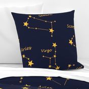 Zodiac signs,constellations,stars,astrology,astronomy,space,galaxy 
