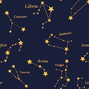 Zodiac signs,constellations,stars,astrology,astronomy,space,galaxy 
