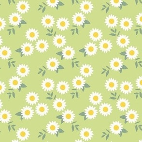 Cutesy sunflowers - summer blossom and little green petals and leaves white yellow sage on lime green