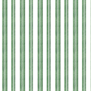Modern Stripe Balsam 567 4e7357