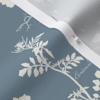 BOTANICAL SILHOUETTES - VERSION 1 - LINEN ON BRACING BLUE SW6242