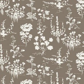 BOTANICAL SILHOUETTES - VERSION 1 - LINEN ON FOOTHILLS SW3441