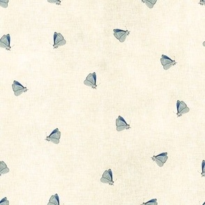 Ditsy tossed little blue butterflies on a cream background with a vintage linen texture