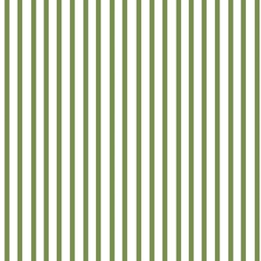 Cleste-Green Stripes 