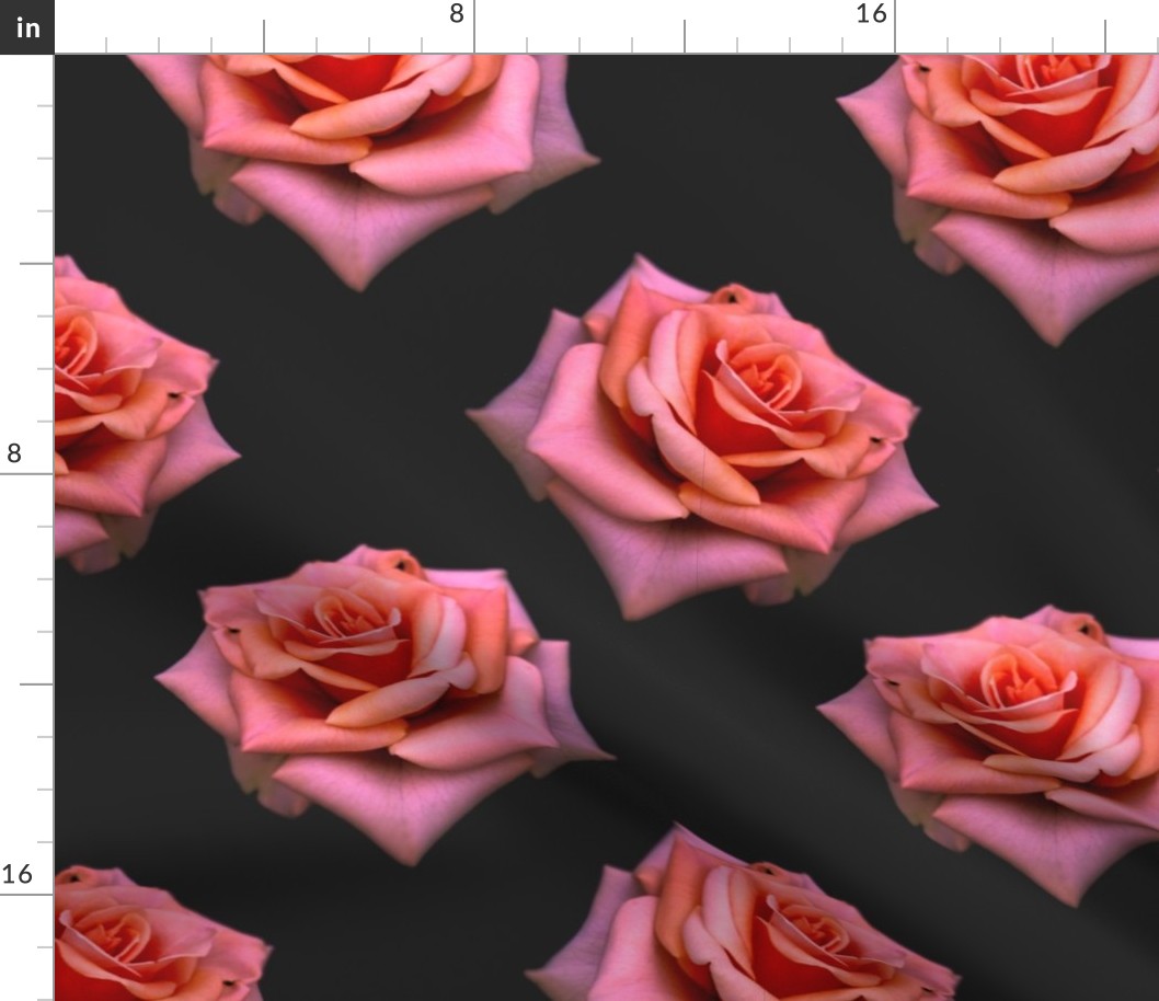 Roses (large scale) 