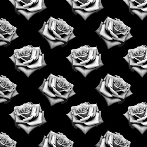 Roses in Black and White 