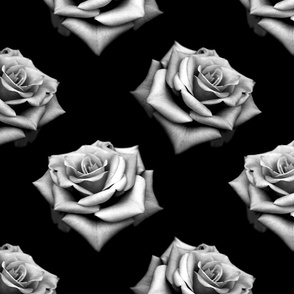 Roses in Black and White (large scale) 