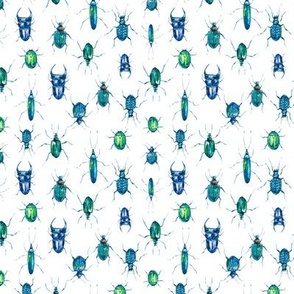 Blue green beetles on white small scale