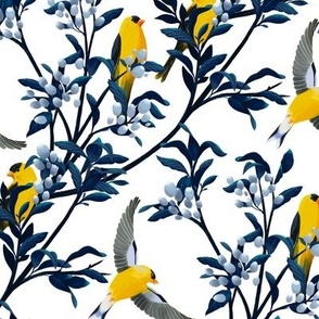Goldfinches on Blue Berries