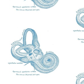 Sound Healing Inner Ear