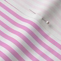 Beach stripe in pink .5x.5