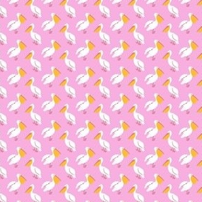 Pelicans in Pink 1 inch