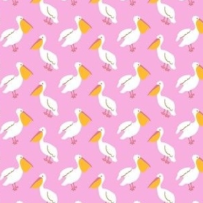 Pelicans in Pink 1.7x1.3