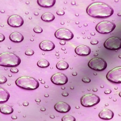 Raindrops on Lavender Purple Plastic