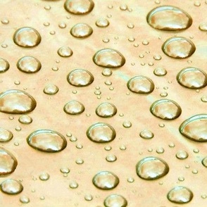 Raindrops on Peach Plastic