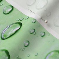 Raindrops on Lime Green Plastic