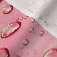 Raindrops on Peachy Pink Plastic