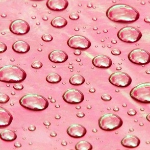 Raindrops on Peachy Pink Plastic