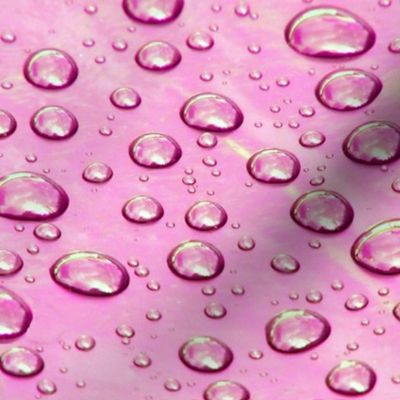Raindrops on Pink Plastic