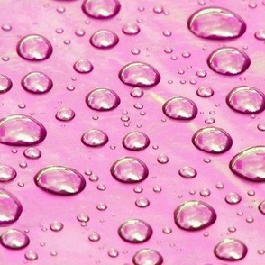 Raindrops on Pink Plastic