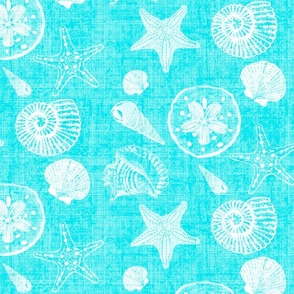 Shell Sketches on Tropical Blue Distressed Linen Background