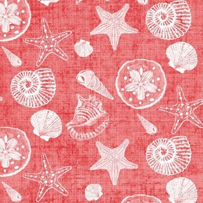 Shell Sketches on Red Distressed Linen Background