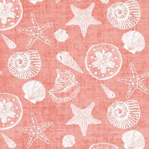 Shell Sketches on Dark Coral Distressed Linen Background