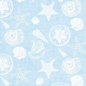 Shell Sketches on Light Blue Distressed Linen Background