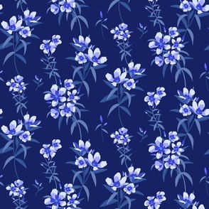 blue Oleander -dark blue background