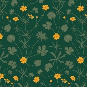 Small Summery Yellow Buttercup Fields with Forest Green Background