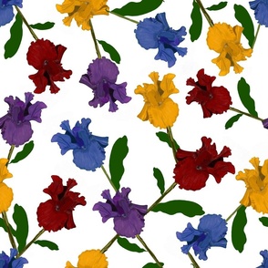 Iris flower colorful pattern
