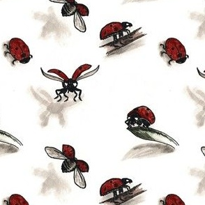 Ladybugs