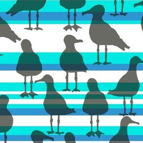 [Medium] Seagulls Black on Vibrant Teal Blue Stripes