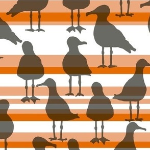 [Medium] Seagulls Black on Orange Stripes