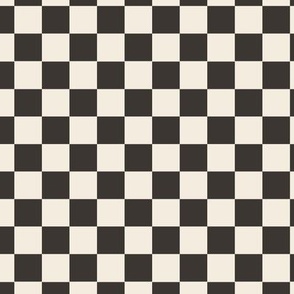 Black and White Checkerboard