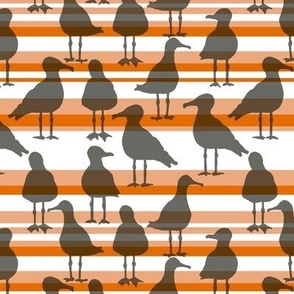 [Small] Seagulls Black on Orange Stripes