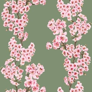 Cherry blossom stripe on sage green