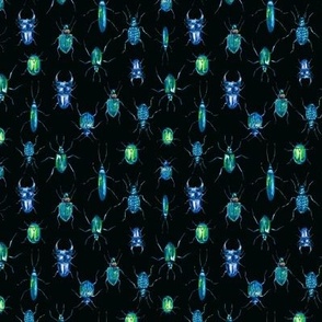 Blue green beetles on black