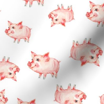 Cute little pigs on white