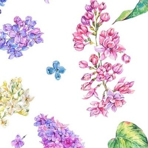 Botanical detailed lilac flowers