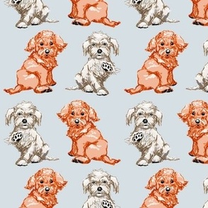 Adorable Maltipoo Dog Fabric