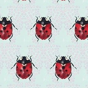 Lady bird