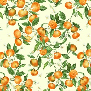Tangerines_01