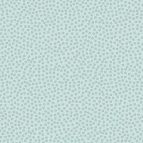 Dot Texture -Seaglass -Petal Solids Coordinate