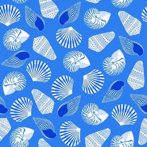 Seashell mix pattern on blue background
