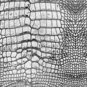White/Grey Grungy Dragon Aligator Crocodile Scales Reptile Skin Pattern