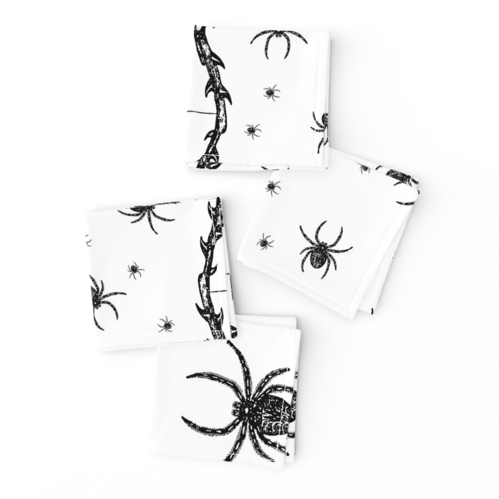 Spider Border (black on white)