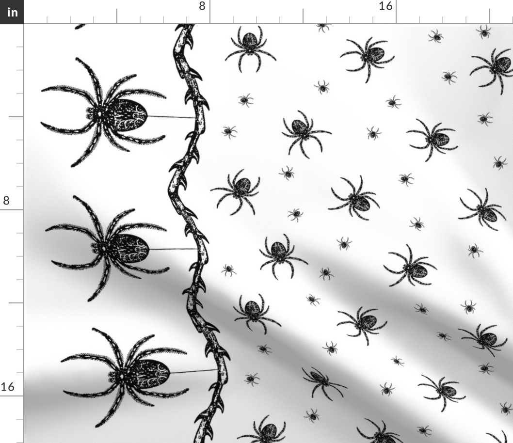 Spider Border (black on white)