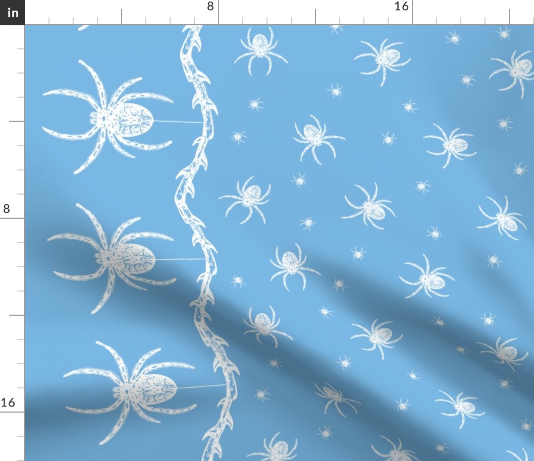 Spider Border (blue)