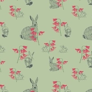 fleeting bunny on green